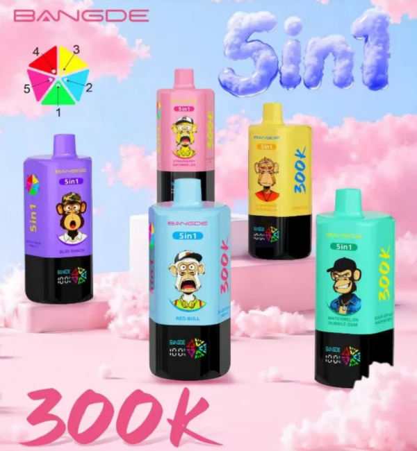 Bang De 300000(300K) Puffs 5 in 1Disposable Vape