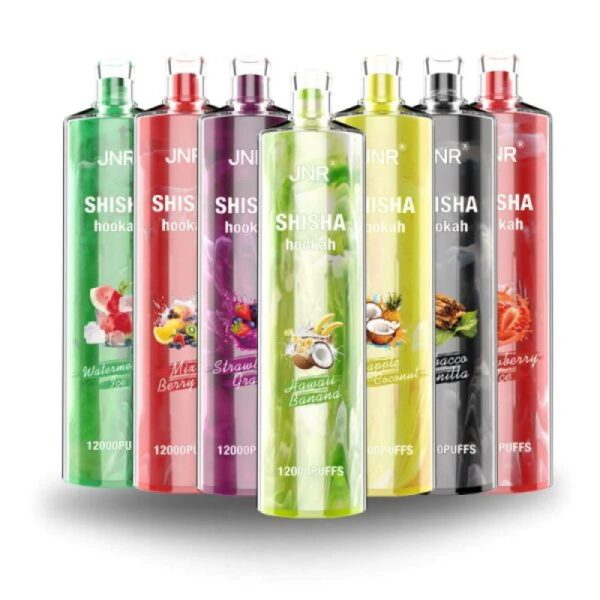 JNR Shisha Hookah 12000 (12K) DTL Kit Disposable Vape